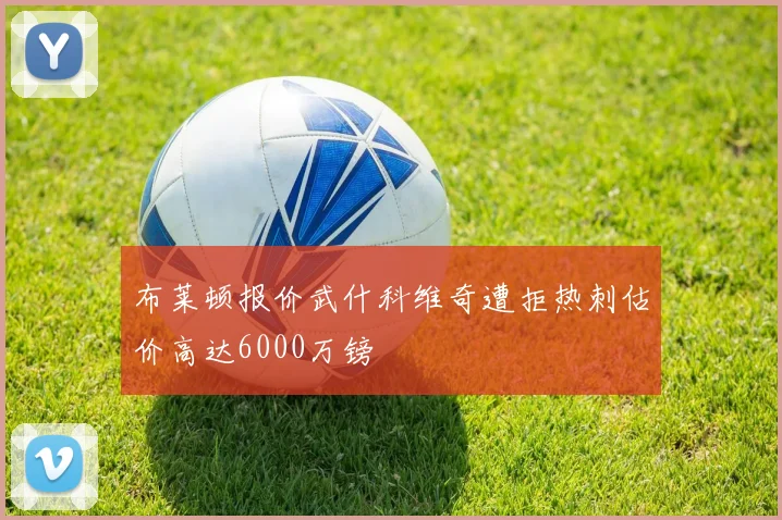 布莱顿报价武什科维奇遭拒热刺估价高达6000万镑