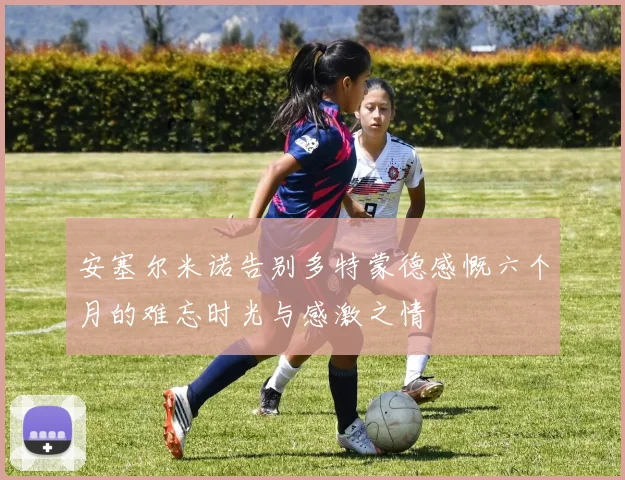 安塞尔米诺告别多特蒙德感慨六个月的难忘时光与感激之情